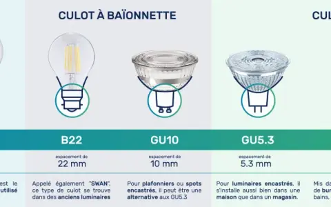 Comparaison des types de culots d'ampoules : à vis (E14, E27), à baïonnette (B22) et à broches (GU10, GU5.3, G4, G9). Le culot, c'est la base qui se visse ou se clipse.
