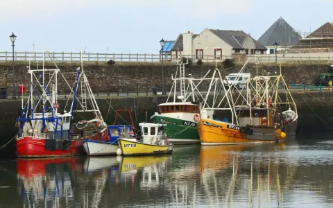 Plusieurs bateaux de pêche colorés sont amarrés dans un port. Une bitte d'amarrage définition : un poteau solide pour attacher les bateaux.