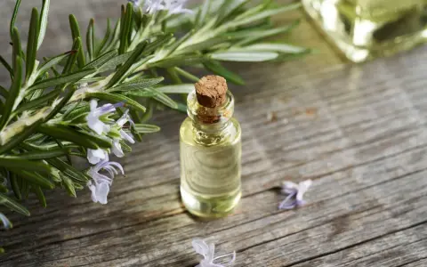 Frischer Rosmarin mit Blüten neben einer kleinen Glasflasche, die zeigt, wie man Rosmarinextrakt herstellen kann.