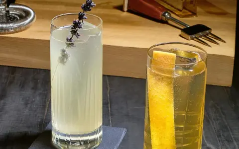 Zwei erfrischende Gin Tonic Drinks, einer mit Lavendel, der andere mit Zitrusgarnitur, bereit zum Genuss.
