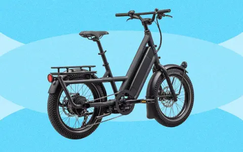 A black electric cargo bike with a long frame and rear rack, perfect for hauling groceries or kids.