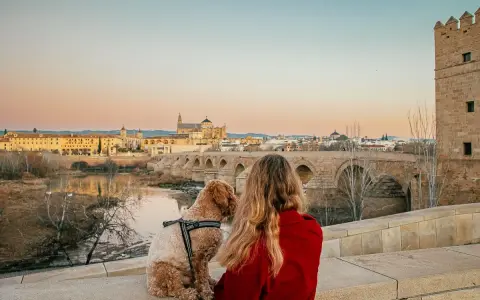 Kordoba co zobaczyć: widok na Mezquitę i rzekę Gwadalkiwir z mostem rzymskim. Kobieta z psem podziwia panoramę miasta.