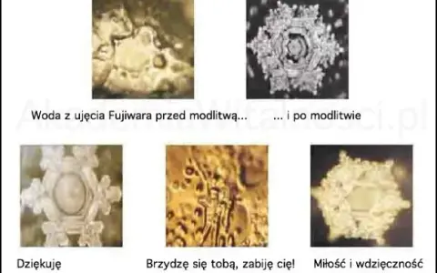 Eksperyment Emoto z ryżem: Prawda czy pseudonauka?