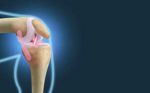Anatomia kolana: kości, więzadła i chrząstki. Widoczne są mięśnie kolana, które stabilizują staw.