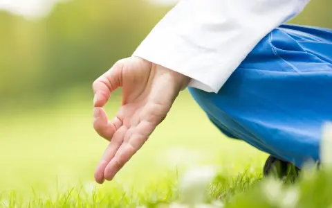 En hand i mudra, klädd i vitt och blått, vilar på gräset. Kirtan kriya forskning visar hur denna meditation kan påverka välbefinnandet.
