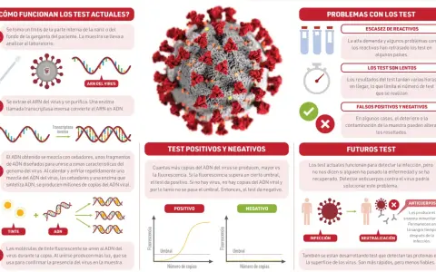 Ilustración explica cómo funciona un test PCR para detectar el ARN del virus, mostrando el proceso de amplificación y detección.
