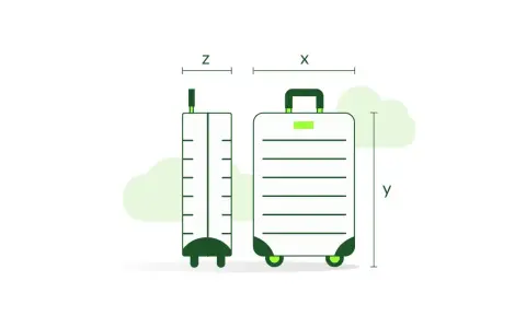 Todo lo que necesitas saber sobre el equipaje de mano en TAP
