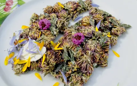 Get inspired for rotklee rezepte! Getrocknete Rotklee-Blüten und Blütenblätter auf einem Teller, garniert mit kleinen lila und gelben Blüten.