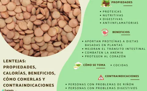 Primer plano de lentejas secas, con información sobre sus propiedades, beneficios y contraindicaciones. Aunque las lentejas engordan si se consumen en exceso, son nutritivas.