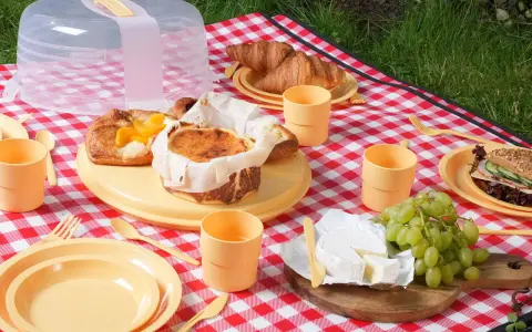 Co zabrać na piknik? Na czerwono-białej kratce leżą ciasta, croissanty, ser, winogrona i kanapka. Są też żółte talerze, kubeczki i sztućce.