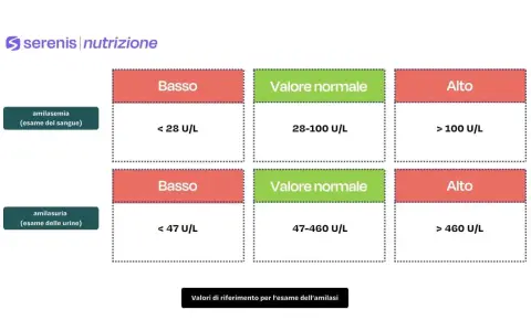 Valori di riferimento per l'amilasi: amilasemia (sangue) e amilasuria (urine). Indica se i valori sono bassi, normali o alti.