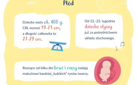 Ruchy dziecka w 22 tygodniu ciąży: jak często są normalne?