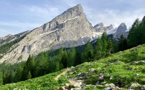Pfad zum Watzmann. Grüne Almwiesen mit gelben Blumen und Felsen, im Hintergrund der majestätische Watzmann. Perfekt für eine Wanderung.