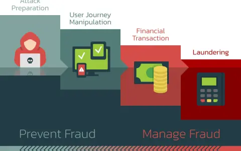 Diagram shows fraud stages: attack prep, user manipulation, financial transaction, laundering. Internal controls to prevent fraud are crucial.