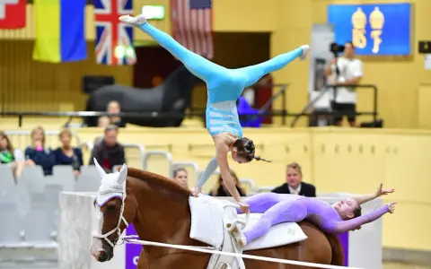 Deux gymnastes réalisent une performance de gymnastique cheval. L'une est en équilibre sur les mains, l'autre allongée sur le dos du cheval.