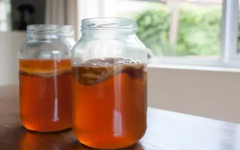 Dwa słoiki z kombuchą, napojem znanym ze swoich prozdrowotnych właściwości. Widoczny SCOBY, czyli kultura bakterii i drożdży.