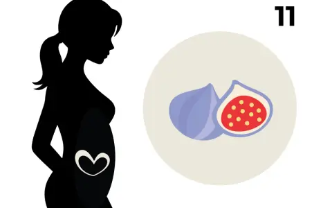 Silhouetten einer schwangeren Frau mit einem Herzsymbol auf dem Bauch. Daneben Feigen, die die 11. SSW symbolisieren.