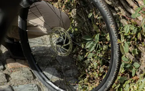 Naprawa roweru: wymiana szprychy w kole z tarczą hamulcową, na tle kamiennej ścieżki i zielonych liści.