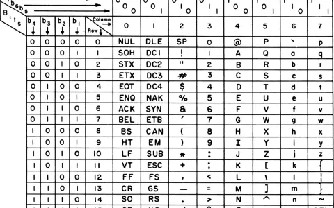 ASCII-Code-Tabelle mit Binärcodes und Zeichen.