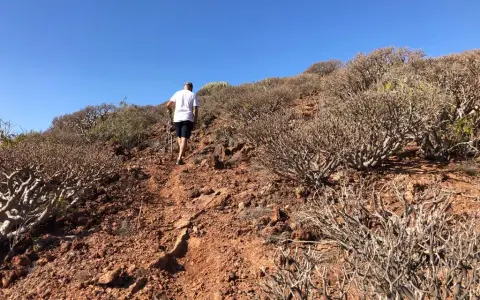Montaña de Ifara y Los Riscos: Tu guía para la aventura volcánica en Tenerife