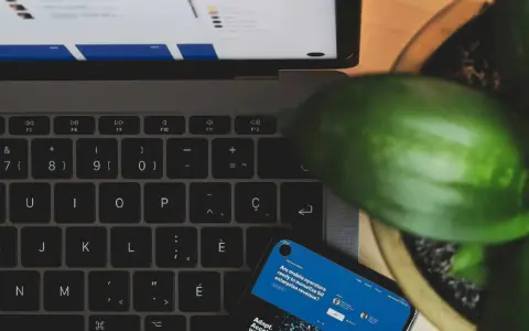 Laptop, telefon i roślina tworzą scenę dla kampanii brandowej.