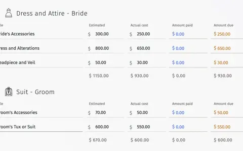 Detalle de gastos de boda: vestido, velo, accesorios para novios. Ayuda a planificar cuanto dinero dar en una boda.