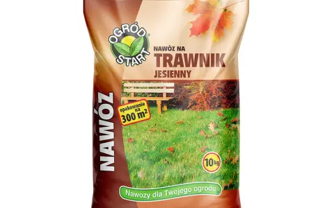 Jaki nawóz jesienny do trawnika? Odkryj najlepsze produkty i porady