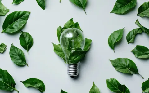 Une ampoule transparente, entourée de feuilles vertes, symbolise une lampe économie d'énergie.