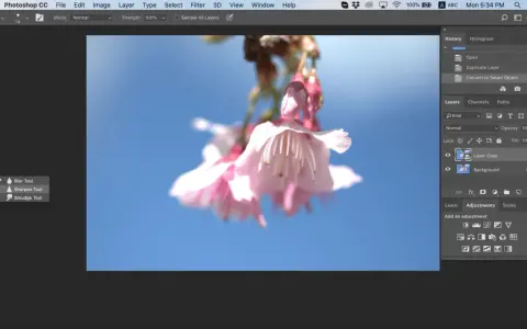 Photoshop: 3 metody wyostrzania zdjęć perfekcja bez błędów