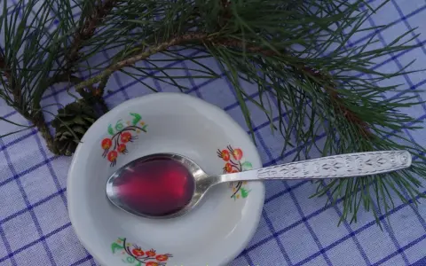 Syrop z sosny na jaki kaszel? Łyżeczka z ciemnoczerwonym syropem sosnowym na talerzyku, gałązka sosny i szyszka.