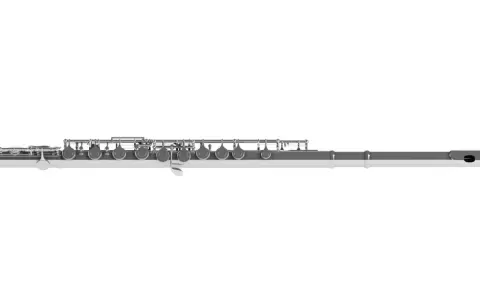 Srebrna flet poprzeczny, jeden z instrumentów muzycznych, z widocznymi klapami i otworami.