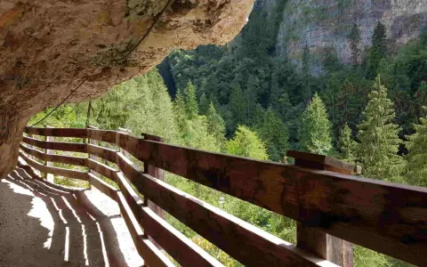 Sentiero scavato nella roccia con parapetto in legno, vista sulla valle boscosa di San Romedio.