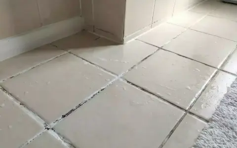 Des joints de carrelage encrassés, peut-être par du salpêtre, attendent un nettoyage.