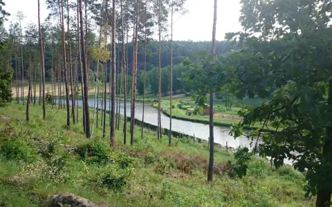 Malownicze jezioro Wilcze otoczone lasem sosnowym, z widocznym małym domkiem i kilkoma osobami spacerującymi nad wodą.