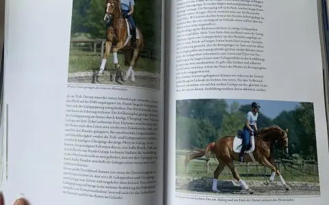 Reiterin mit braunem Pferd im Galopp, Dr. Klimke im leichten Sitz.