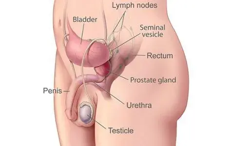 Masaż prostaty jak wykonać: bezpieczne techniki i korzyści zdrowotne