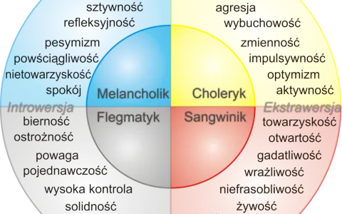 Jaki masz typ osobowości? Odkryj, co mówi o Tobie Twój wynik