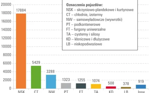 Wykres słupkowy pokazuje liczbę pojazdów według typu: NSK (17884), CT (5429), NW (3288) i inne. Kod CN dla tych pojazdów jest kluczowy.