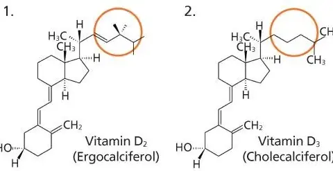 Die Wahrheit über Vitamin D2: Vorteile, Quellen und Dosierung erklärt