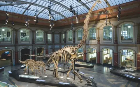 W muzeum prehistorii imponujące szkielety dinozaurów, w tym gigantyczny brachiozaur, przyciągają wzrok pod szklanym dachem.