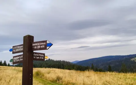 Drewniany drogowskaz w górach, wskazujący szlaki na gorce szczyty. W tle las i zachmurzone niebo.