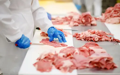 Rodzaje mięsa w kebabie: Jak rozpoznać jakość i unikać 'kuli mocy'?