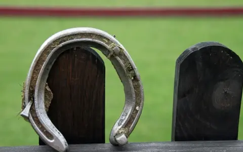 Podkowa, pokryta ziemią i trawą, opiera się o drewniane słupki.