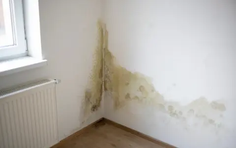 Manchas de moho y humedad en la esquina de una habitación, junto a una ventana y un radiador. Es hora de arreglar humedades.