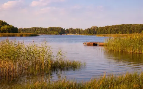 Spokojne jezioro otoczone lasem, z pomostem i trzcinami. Idealne ciche spokojne miejsce na weekend.