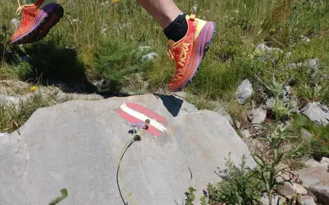 Biegacz w butach Hoka Speedgoat 6 pokonuje górski szlak, stawiając stopę na skale z oznaczeniem szlaku.