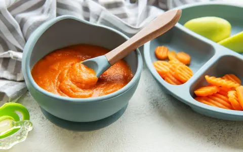 Karottenpüree und geschnittene Karotten auf einem Baby-Teller, bereit für leckere Beikost-Rezepte. Ein Löffel mit Püree ist in der Schüssel.