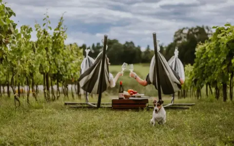 Relaks w winnicy z noclegiem: para w hamakach wznosi toasty, piesek pilnuje pikniku.