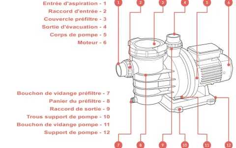 Schéma d'une pompe piscine surdimensionnée, montrant le corps, le moteur et les raccords d'entrée/sortie.