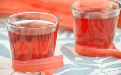 Dwa kieliszki z rubinową nalewką z rabarbaru, ozdobione łodygami tej rośliny.